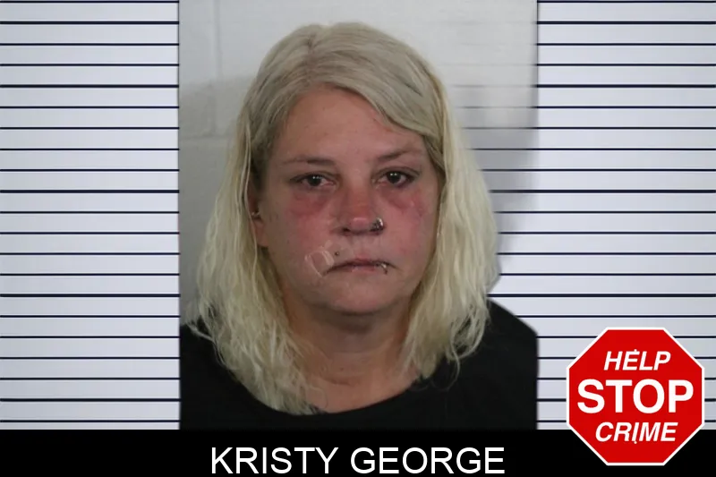 Kristy George Mugshots