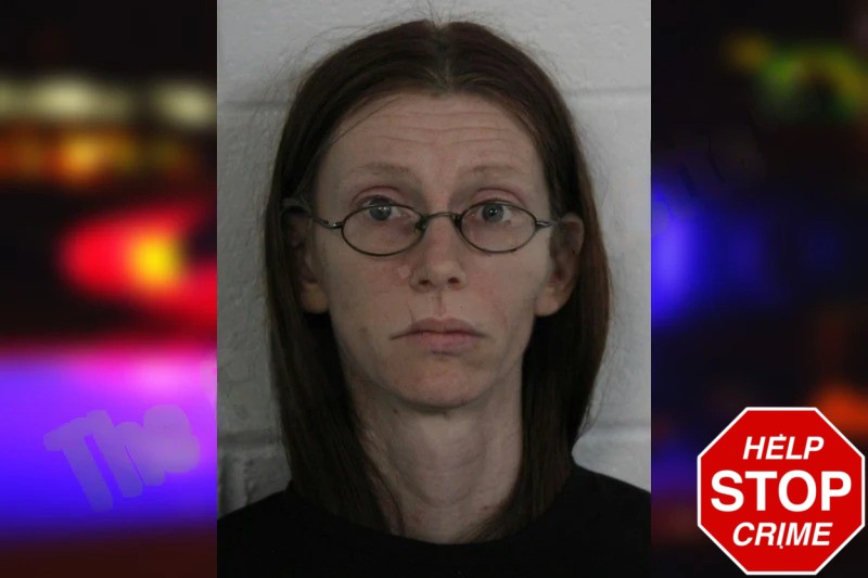 Krystal Hill mugshot – Floyd County , Georgia Krystal Hill mugshot