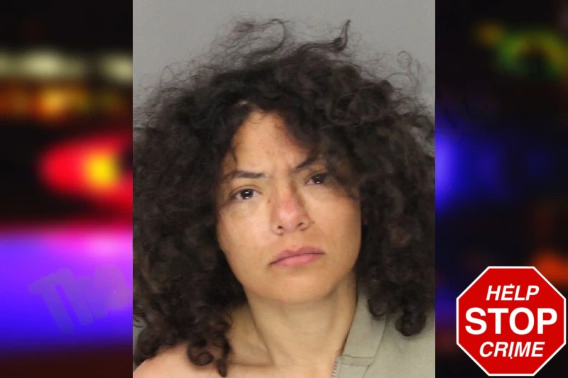 Kyrsten Lagunas mugshot – Cobb County , Georgia Kyrsten Lagunas mugshot
