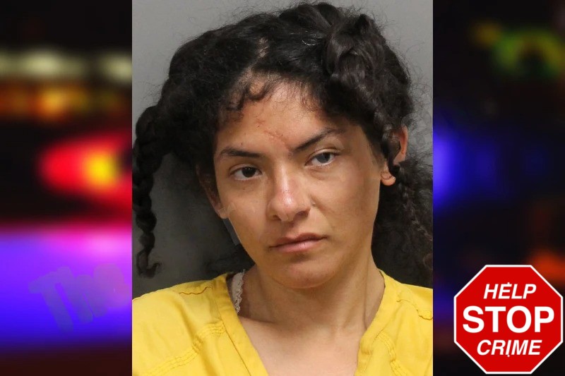 Kyrsten Lagunas mugshot