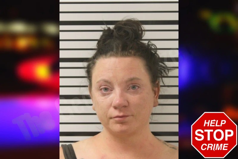 Lacey Ellis Mugshots