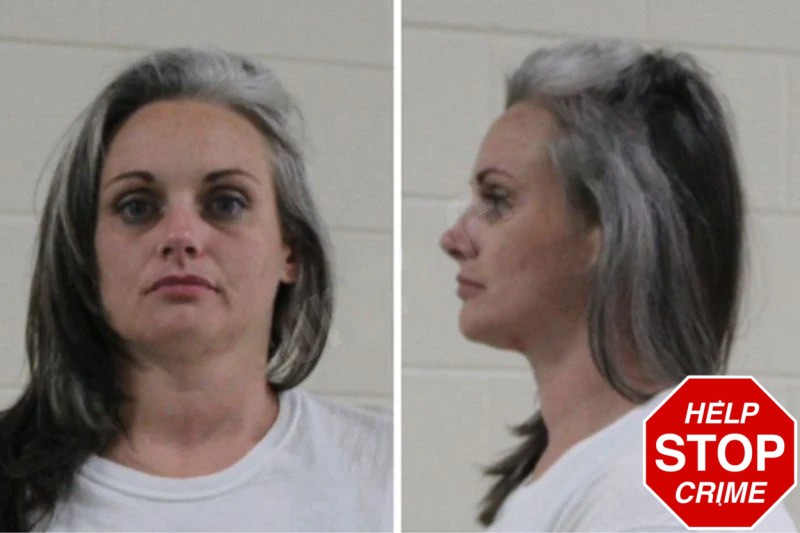 Laci Jackson mugshot