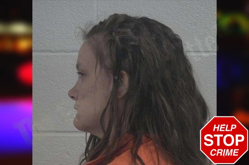 Lacie Meadows Mugshots