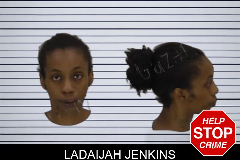 Ladaijah Jenkins Mugshots