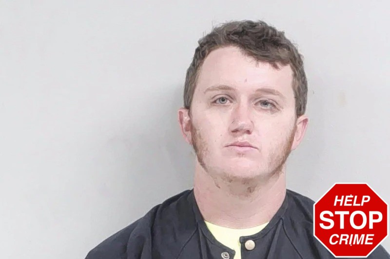 Laine Tucker Mugshots