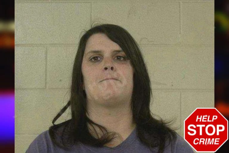 Lamara Fowler mugshot – Liberty County , Georgia Lamara Fowler