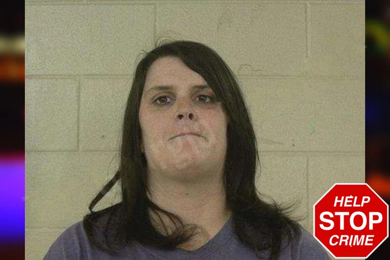 Lamara Fowler mugshot