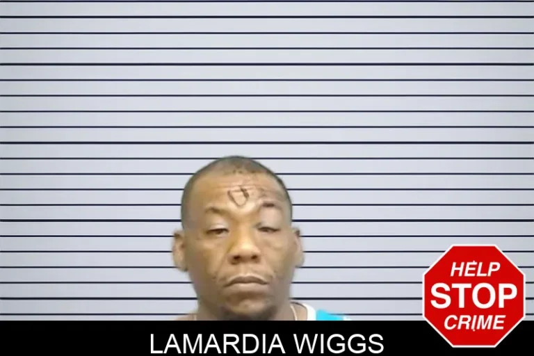 Lamardia Wiggs mugshot – Fulton County , Georgia Lamardia Wiggs