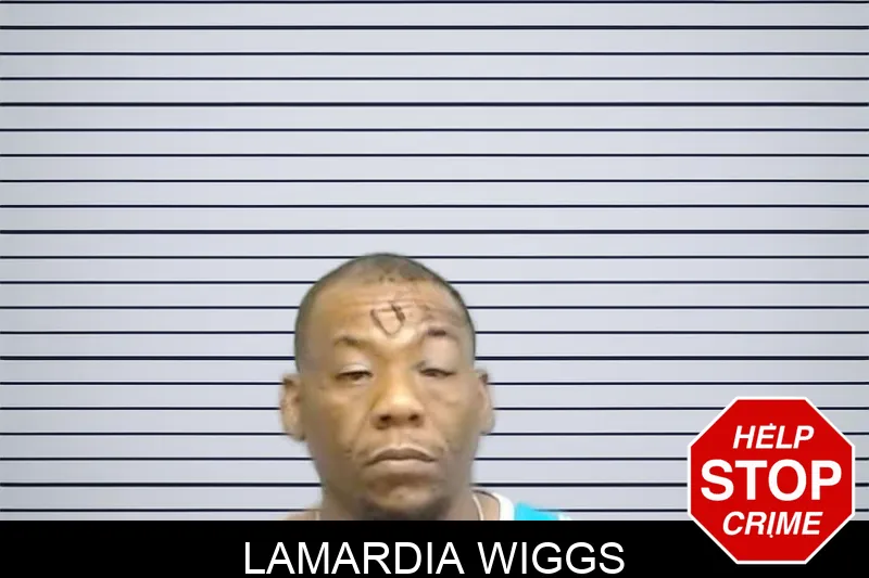 Lamardia Wiggs Mugshots