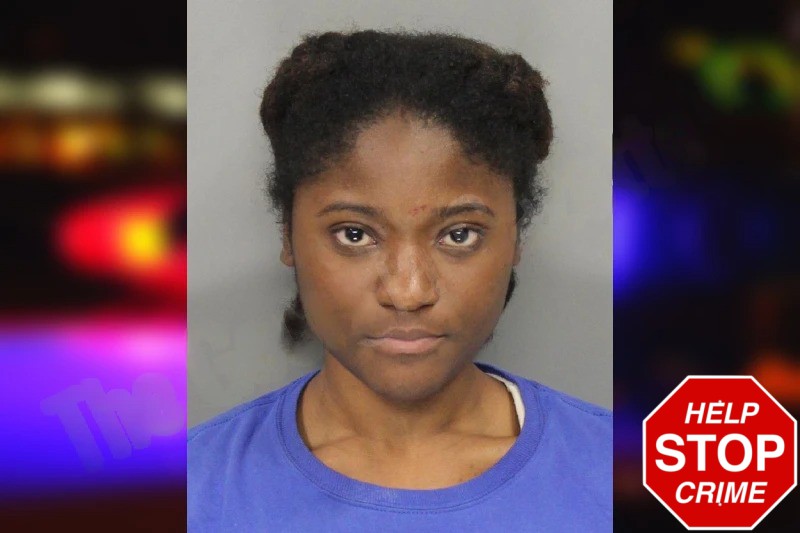 Lamarion Burns mugshot – Cobb County , Georgia Lamarion Burns mugshot