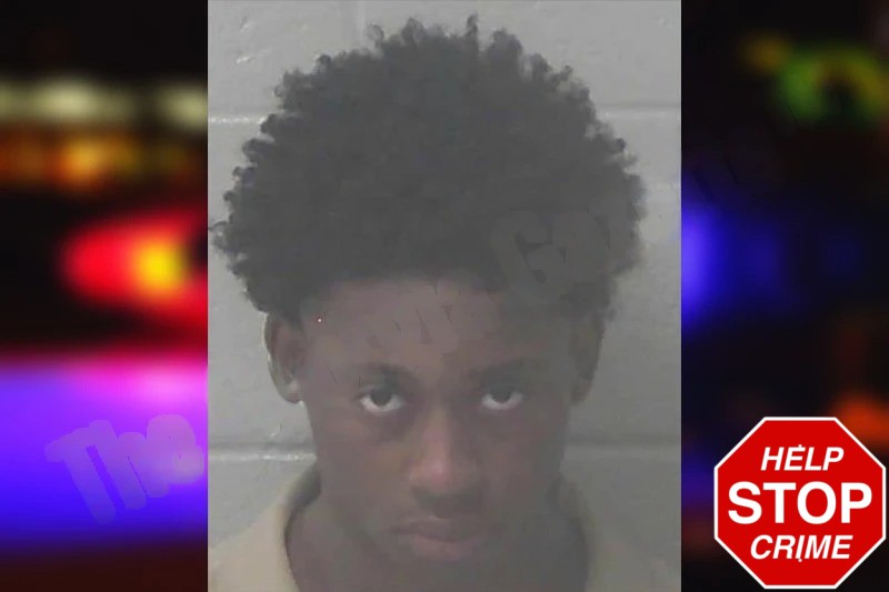 Lamarion Holman Mugshots