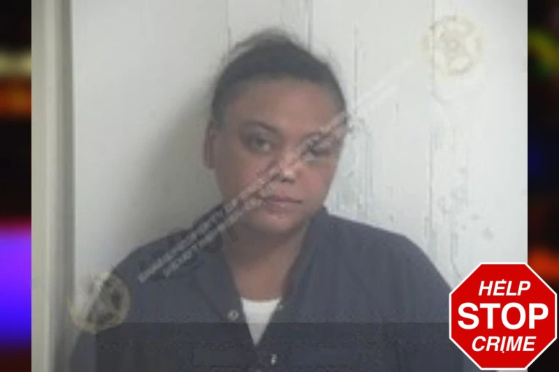 Lanessa Gonzalez Mugshots