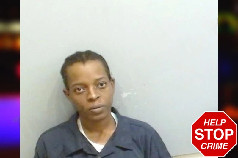 Lanicki Jerome Mugshots