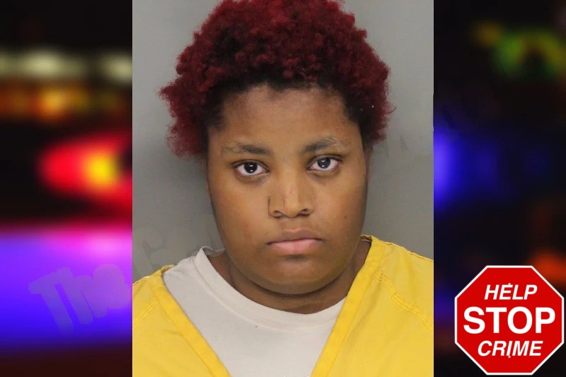 Laquerria Woods mugshot