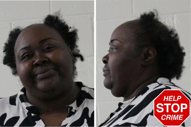 Lashaunna Barner mugshot – Houston County , Georgia Lashaunna Barner mugshot