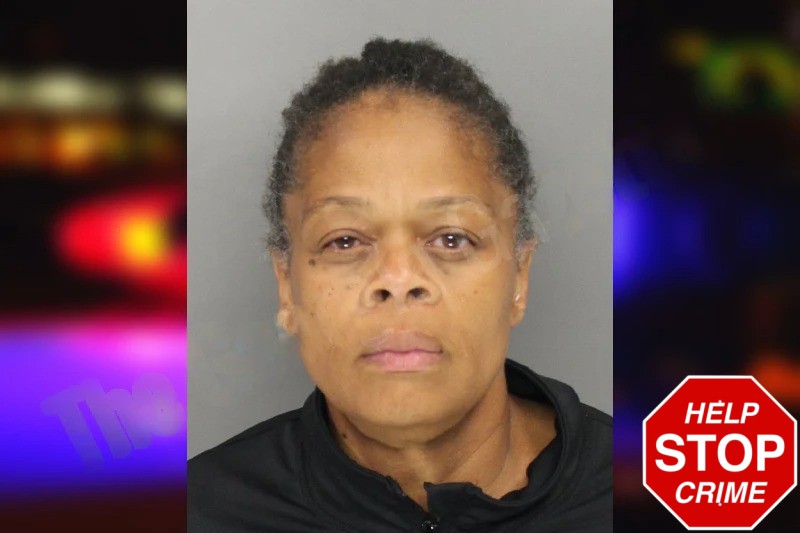 Latasha Johnson mugshot – Cobb County , Georgia Latasha Johnson mugshot