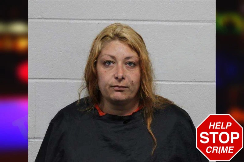 Laura Higdon Mugshots