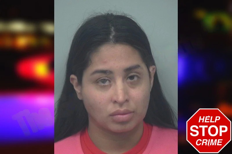 Laura Jimenez Durango mugshot – Gwinnett County , Georgia Laura Jimenez Durango mugshot