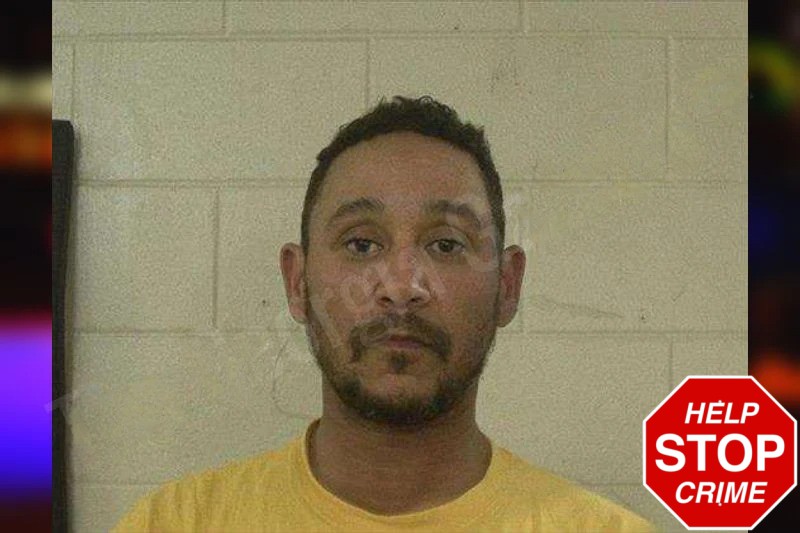 Lauren Hoeppner mugshot – Liberty County , Georgia Lauren Hoeppner mugshot