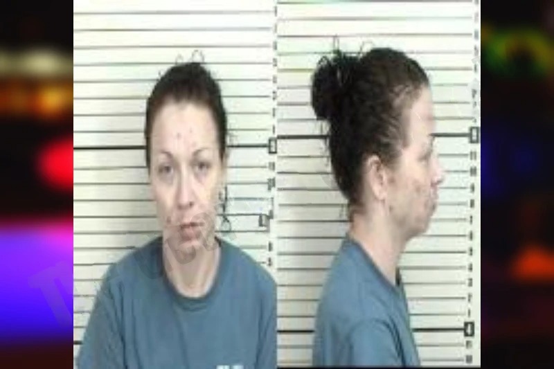 Lauren Mohr Mugshots