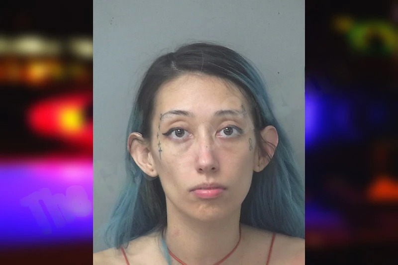 Lauren Williams mugshot – Gwinnett County , Georgia Lauren Williams mugshot