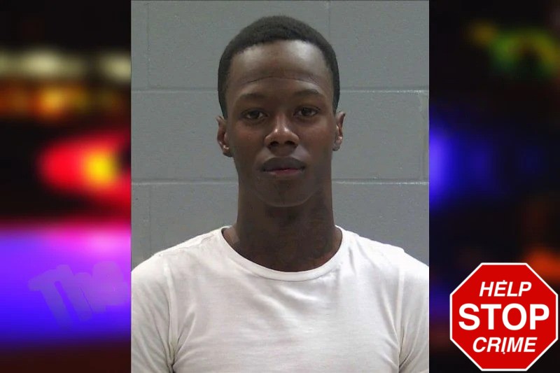 Lavoisia Gray Mugshots