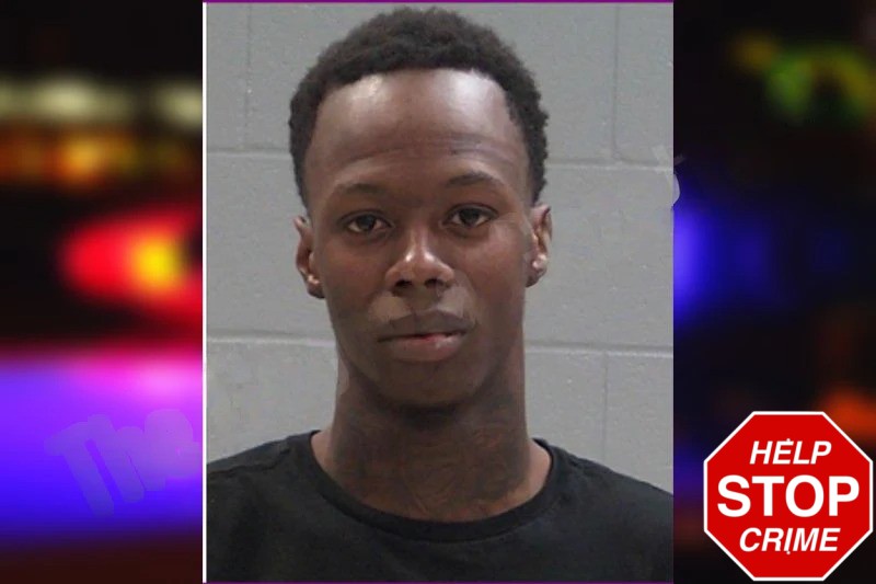 Lavoisia Gray Mugshots