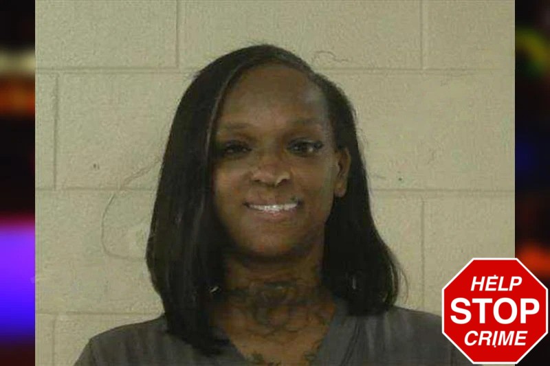 Lawanda Whitaker mugshot – Liberty County , Georgia Lawanda Whitaker mugshot