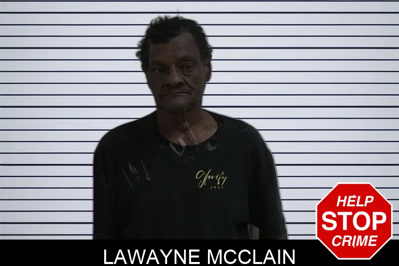 Lawayne McClain Mugshots