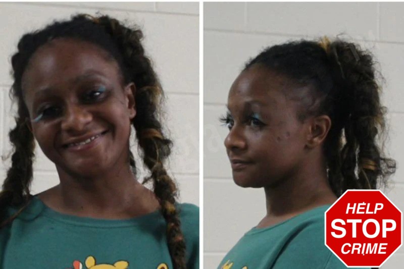 Leah Daniely mugshot – Houston County , Georgia Leah Daniely mugshot