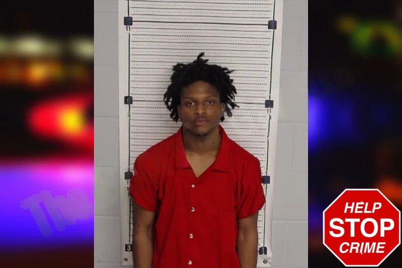 Leanitis Lee Mugshots