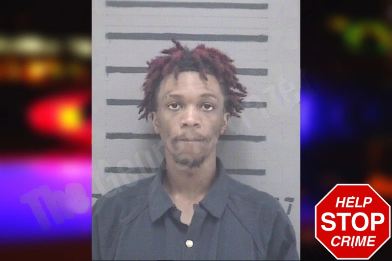 Leehaven Greene mugshot – Dougherty County , Georgia Leehaven Greene mugshot