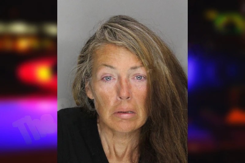 Leiah Gibson Mugshots