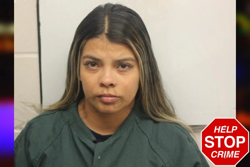 Leidy Bovea Torres Mugshots