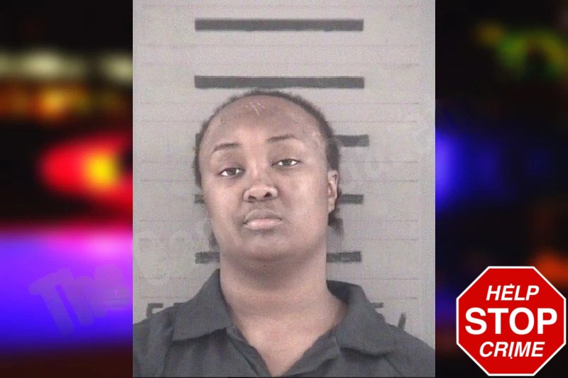Leigha Franklin mugshot – Dougherty County , Georgia Leigha Franklin mugshot