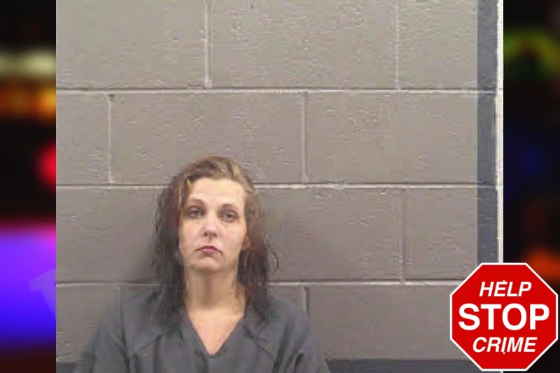 Leighanna Reeves Mugshots
