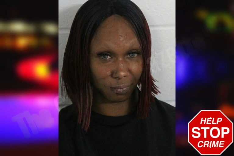 Lena Lay mugshot – Floyd County , Georgia Lena Lay