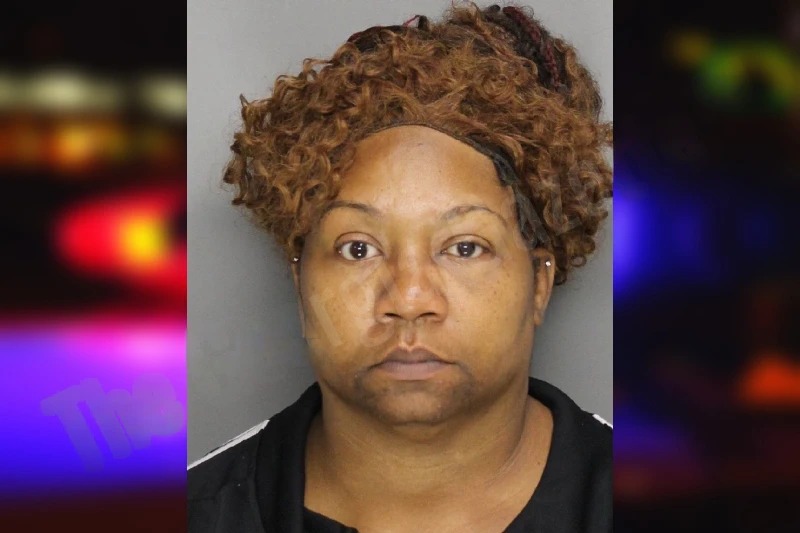 Lesley Gonzalez Mugshots