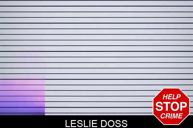 Leslie Doss Mugshots