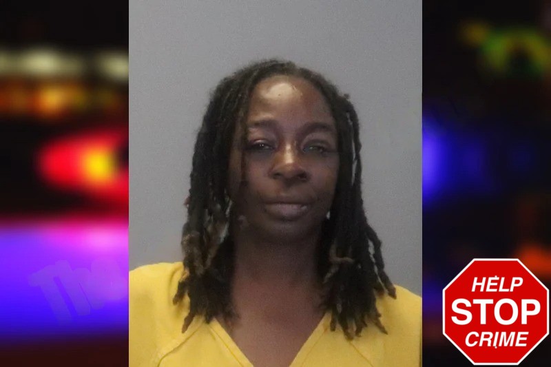 Leslie Johnson Mugshots