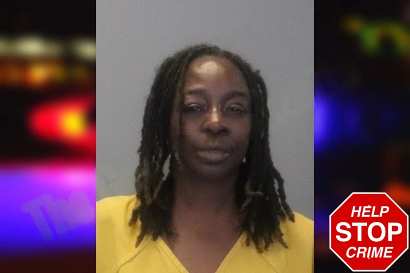 Leslie Johnson Mugshots