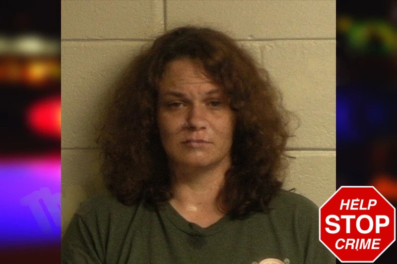 Leslie Taylor Mugshots