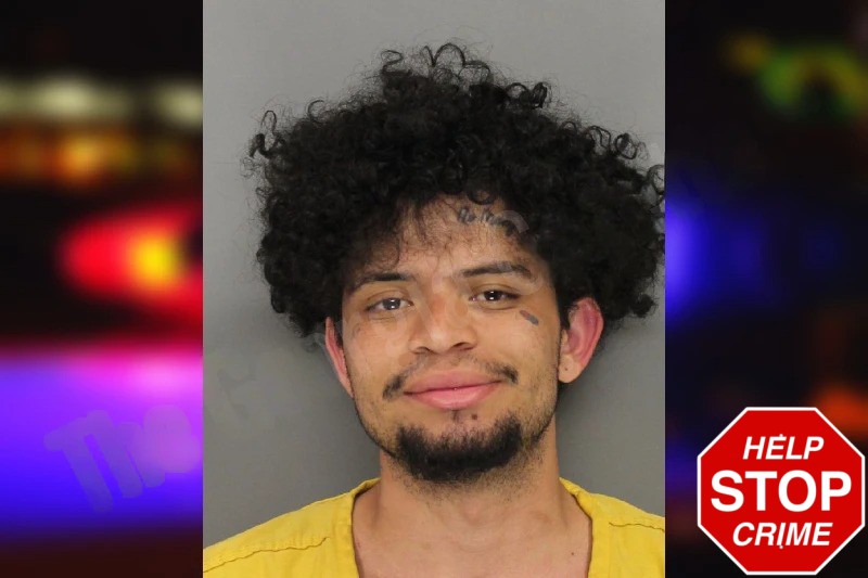 Lester Molina Mugshots