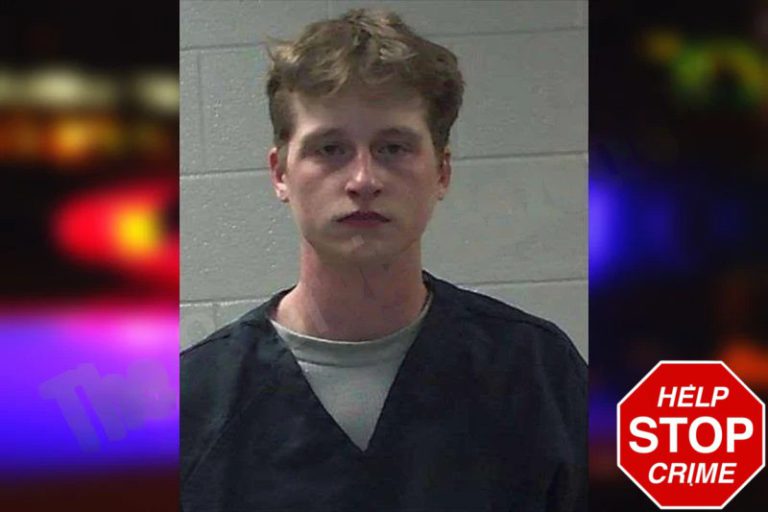 Levi Sheffield mugshot – Gilmer County , Georgia Levi Sheffield