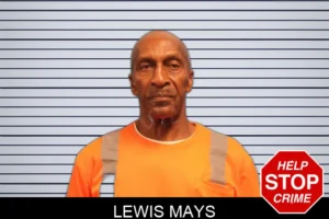 Lewis Mays mugshot