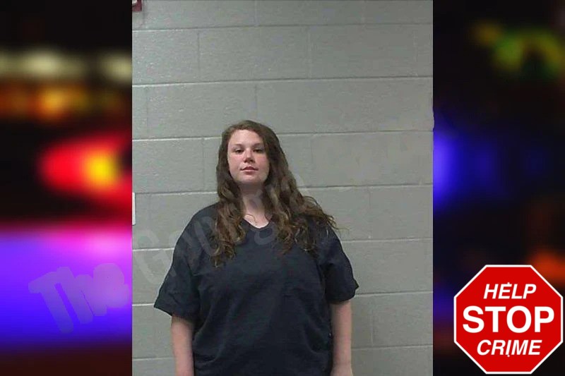 Lexus Hayes Mugshots