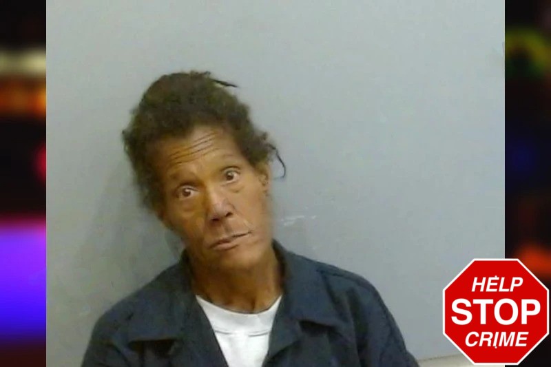 Linda Hinton Mugshots