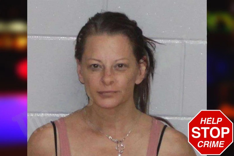Linda Mikulcik mugshot