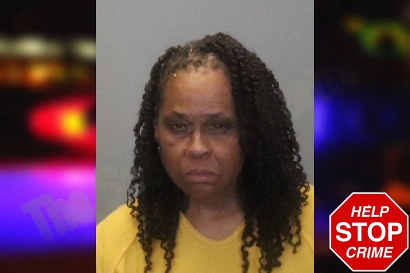 Linda Ravenell Mugshots