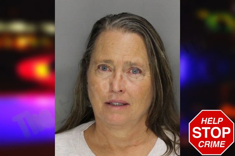 Linda Santiago Mugshots